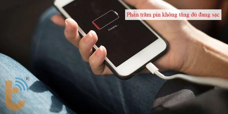 Phần trăm pin không tăng dù đang sạc là dấu hiệu dễ nhận thấy nhất khi iphone nóng bất thường