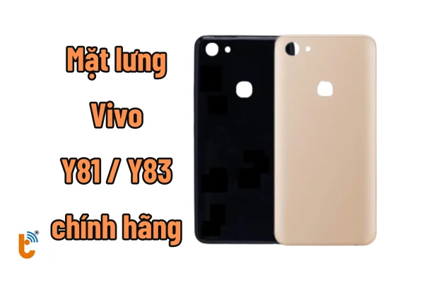 nap-lung-vivo-y81