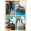 thay-chan-sac-xiaomi-mi-pad-5-gia-re