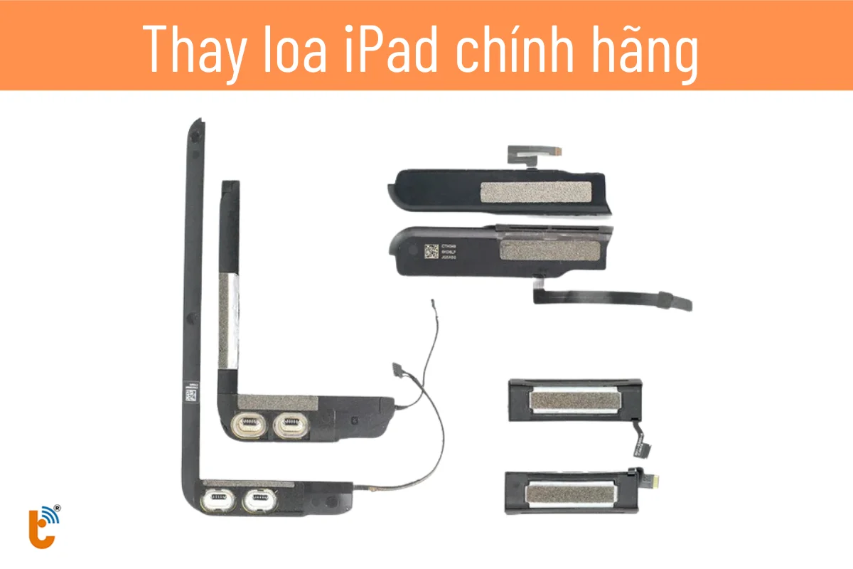 thay loa iPad giá mới nhất
