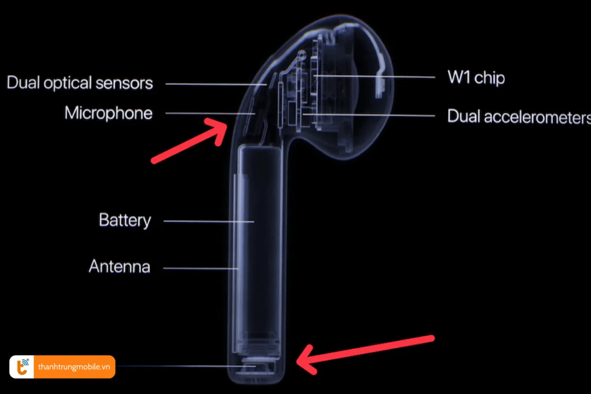 Vị trí micro trên AirPods 2
