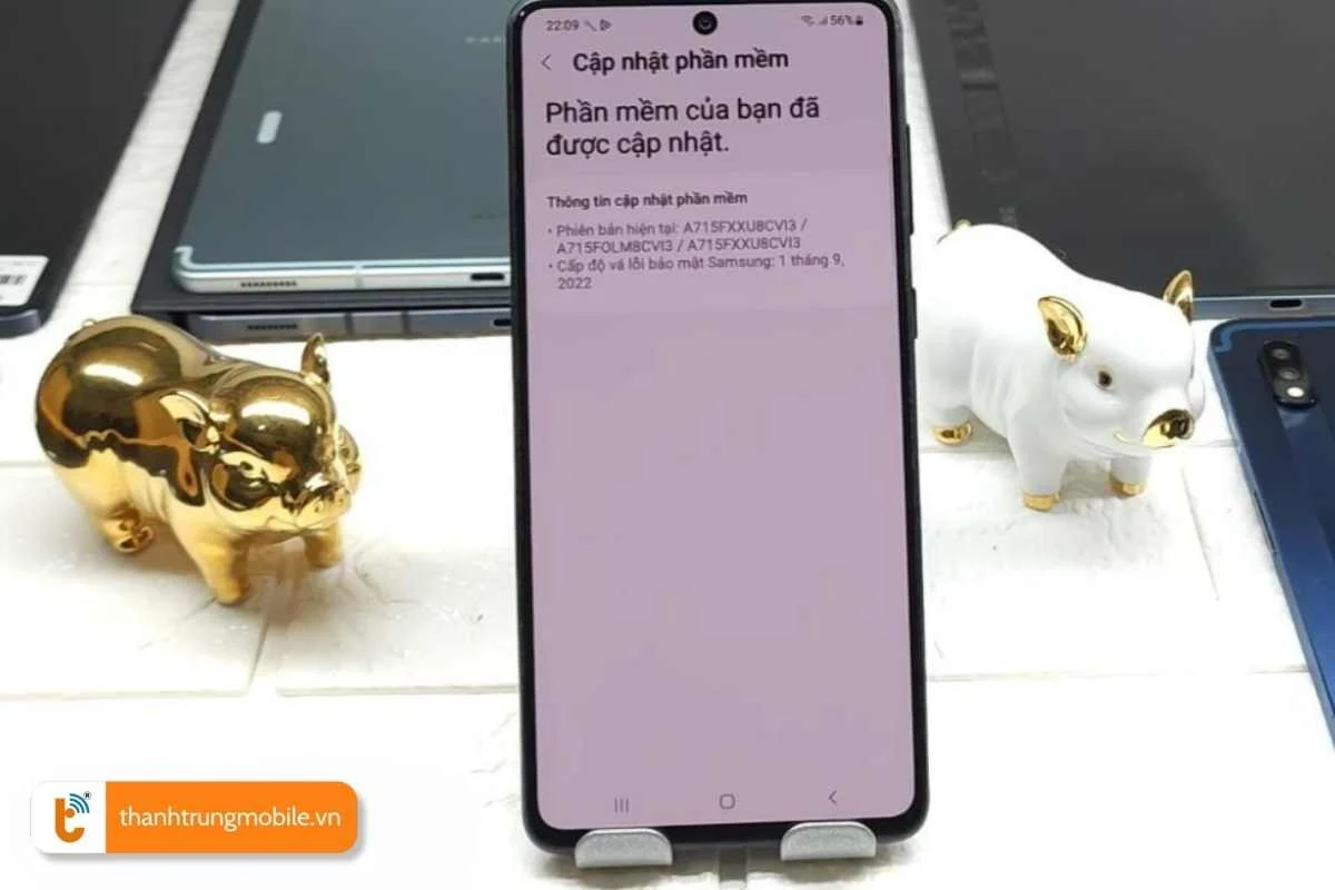 cap nhat phan mem he thong thuong xuyen