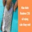 thay-man-hinh-realme-c35-1