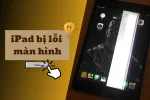 iPad bị lỗi màn hình? Nguyên nhân và cách khắc phục A đến Z