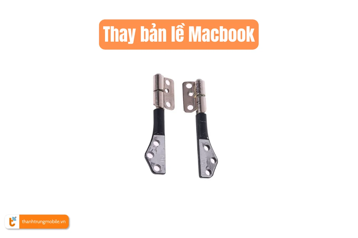 Thay bản lề Macbook