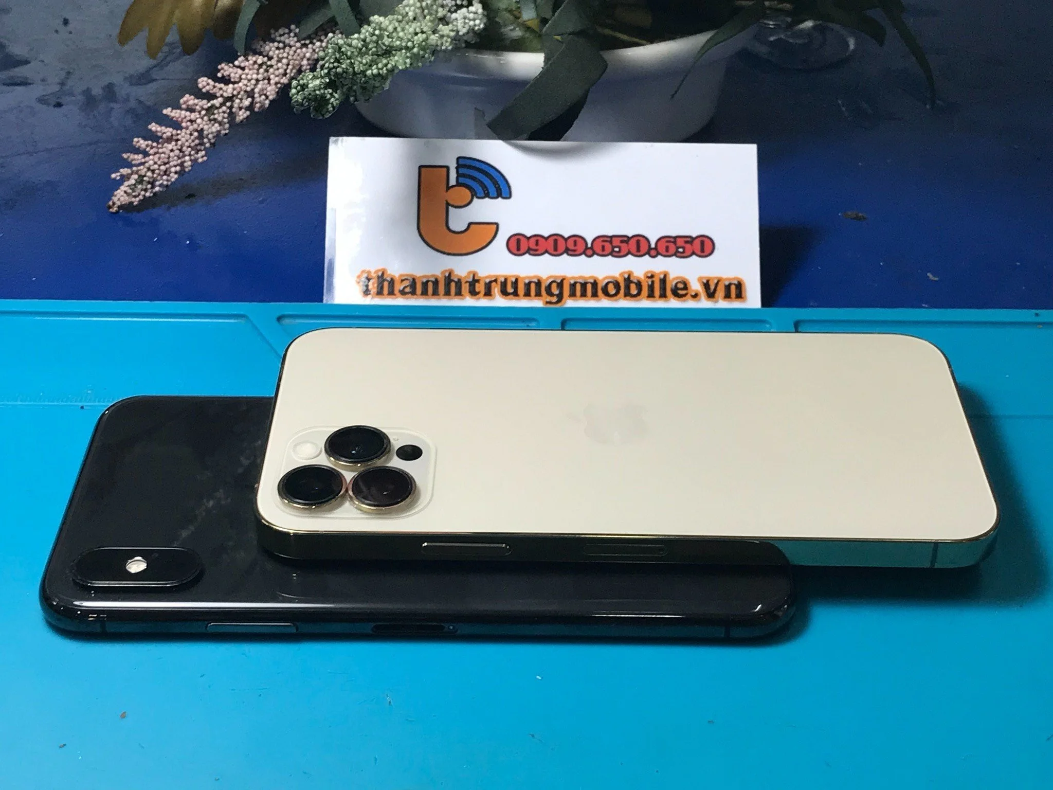 Xs Max Đen Độ Vỏ 12 Pro Max Gold