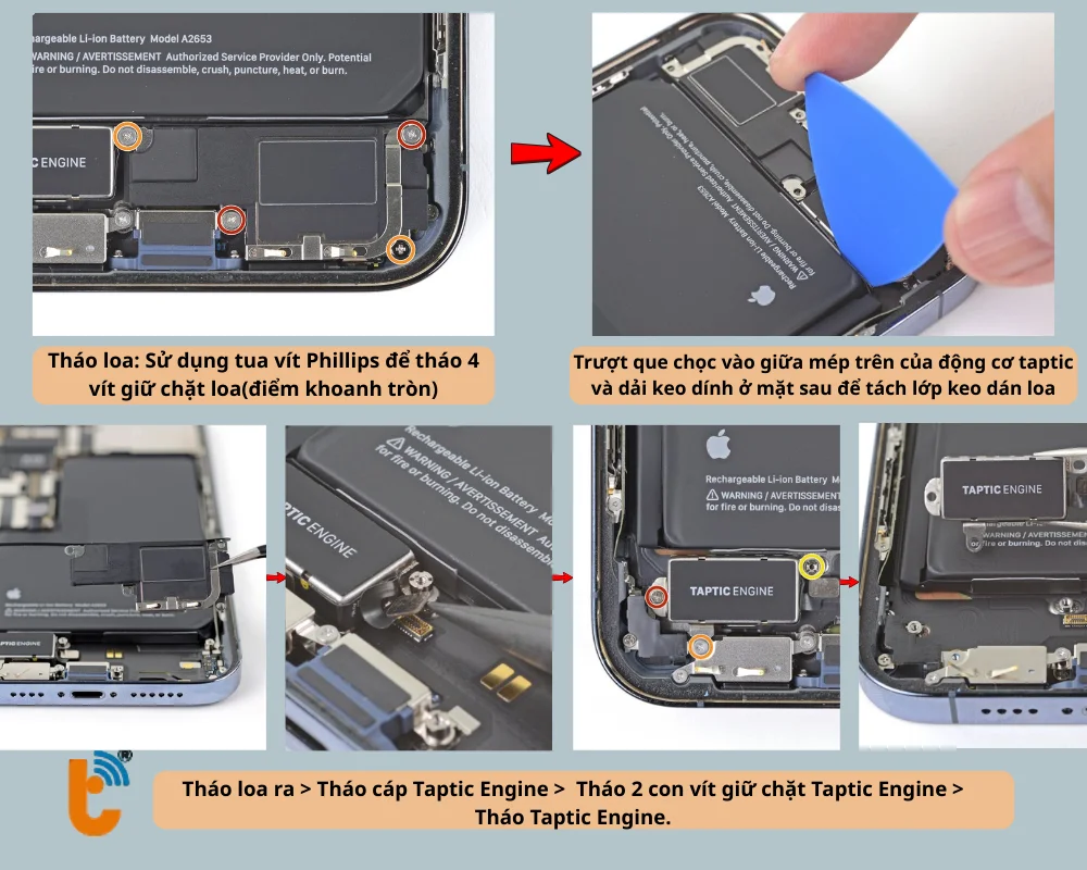 Tháo cụm loa và cáp Taptic Engine 
