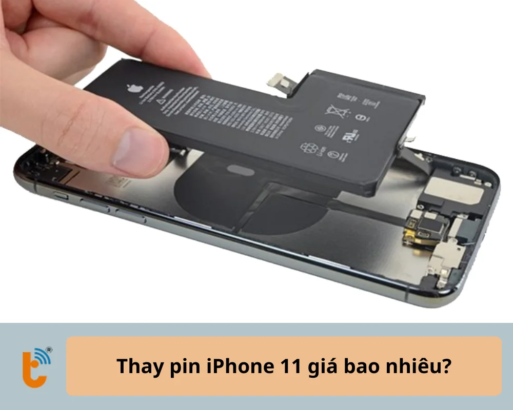 Thay pin iPhone 11 giá bao nhiêu?