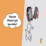 Thay pin iPhone 5 giá bao nhiêu? Bảng giá và địa chỉ uy tín tại TP.HCM