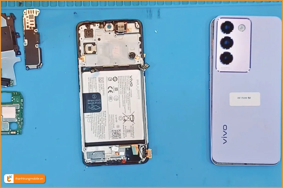 Thay pin Vivo Y100 chính hãng, giá rẻ - Thành Trung Mobile