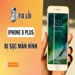 iPhone 8 Plus bị sọc màn hình - Mẹo xử lý hiệu quả an toàn