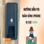 Cách khắc phục lỗi màn hình iPhone bị sọc xanh nhanh chóng, hiệu quả