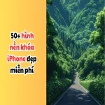 Tải ngay bộ sưu tập 50+ hình nền khóa iPhone đẹp nhất 2025