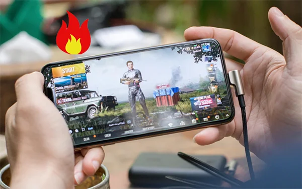 Tranh-vua-sac-vua-su-dung