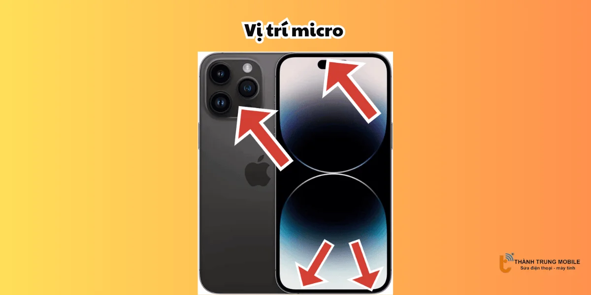 Vị trí micro 