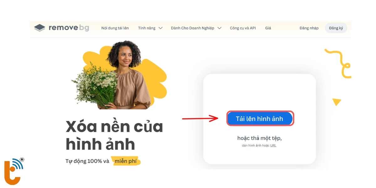 xoa-nen-hinh-anh-bang-removebg